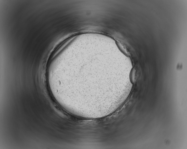 X0000102510050200809051420