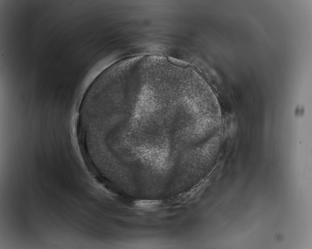 X0000102510051200809051420