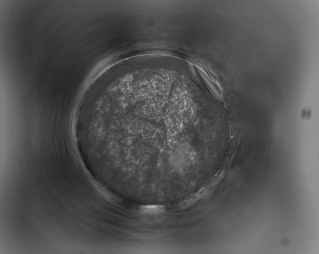 X0000102510053200809051420