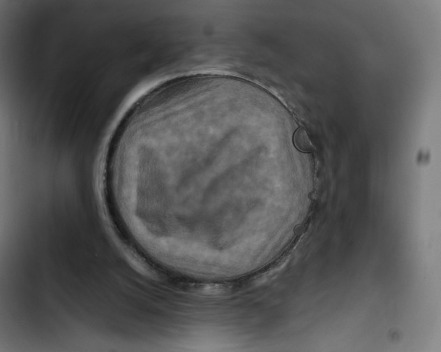 X0000102510056200809051420