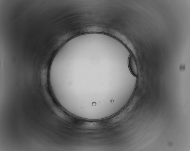 X0000102510057200809051420