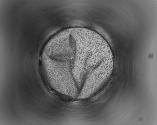 X0000102510058200809051420
