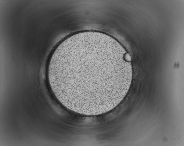 X0000102510060200809051420