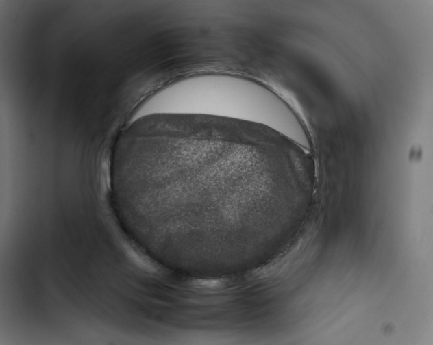 X0000102510061200809051420