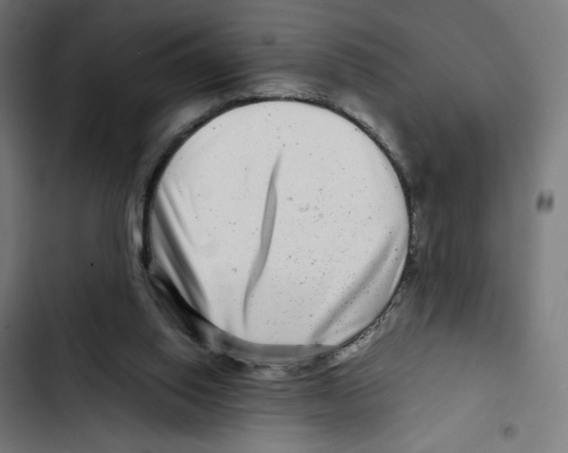 X0000102510062200809051420