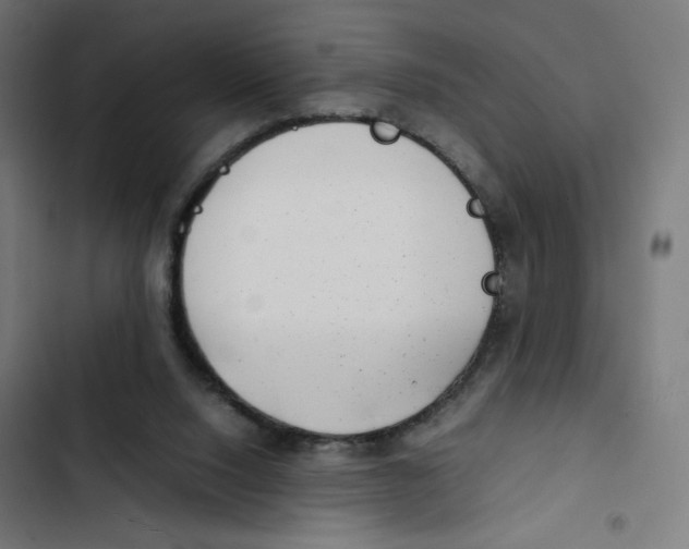 X0000102510064200809051420