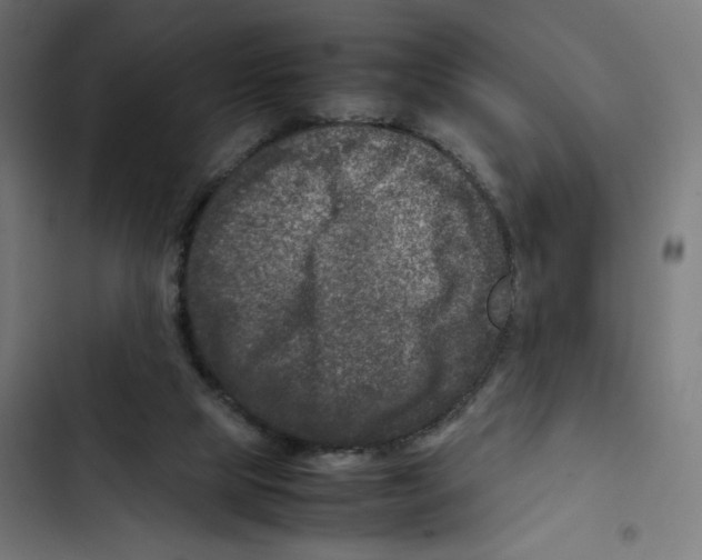 X0000102510065200809051420