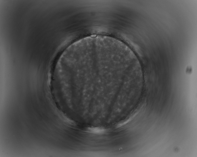 X0000102510067200809051420