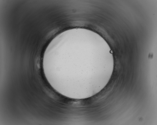 X0000102510068200809051420