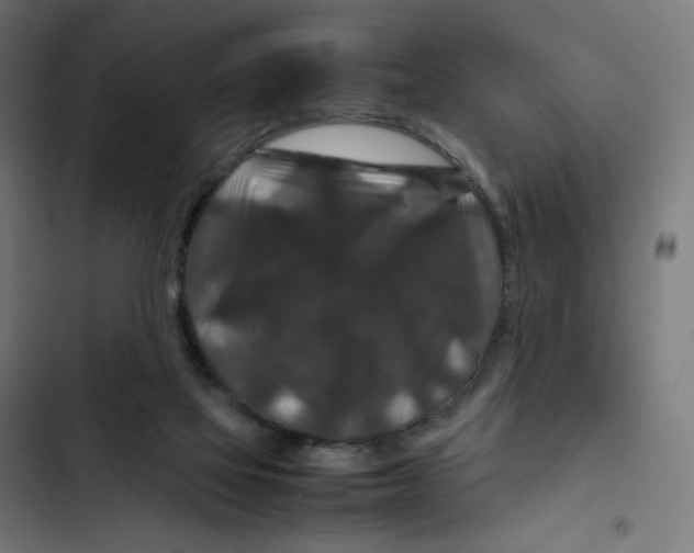 X0000102510069200809051420
