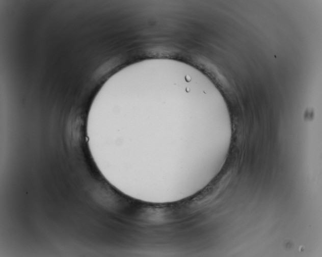 X0000102510071200809051420