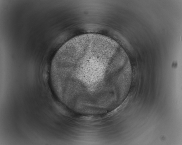 X0000102510074200809051420