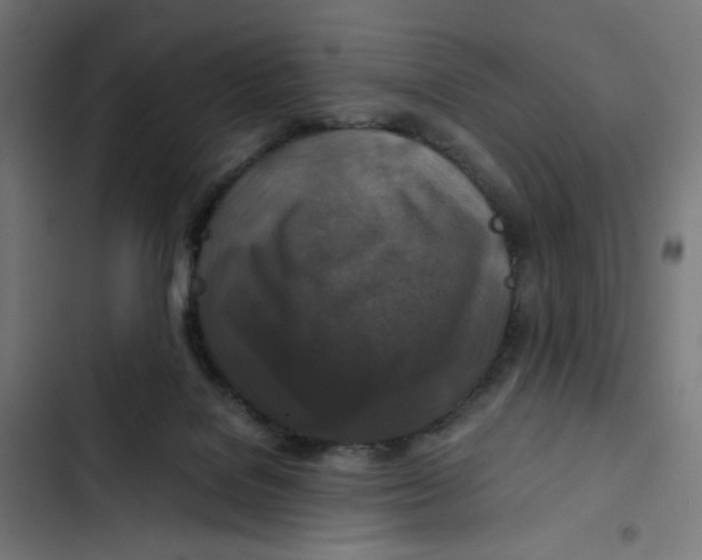 X0000102510076200809051420