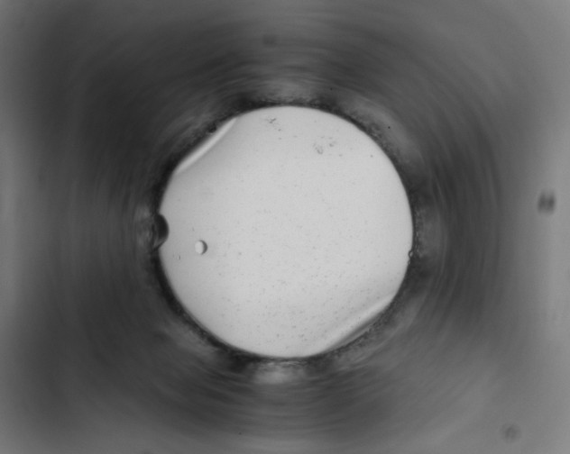 X0000102510077200809051420