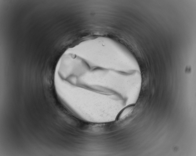 X0000102510078200809051420