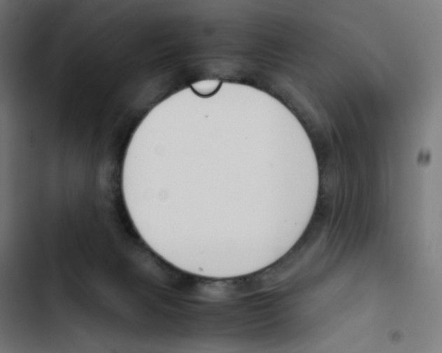 X0000102510079200809051421