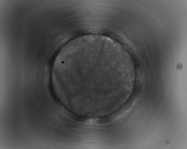 X0000102510080200809051421