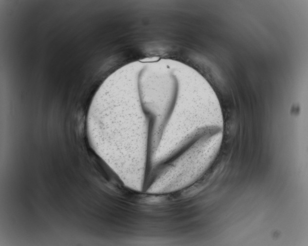 X0000102510081200809051421