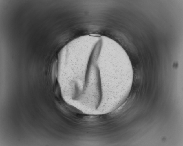 X0000102510082200809051421