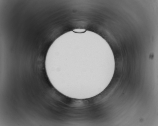X0000102510083200809051421