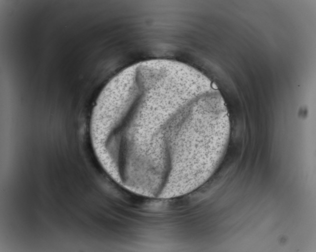 X0000102510084200809051421