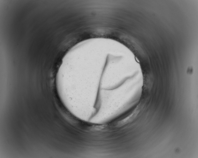 X0000102510086200809051421
