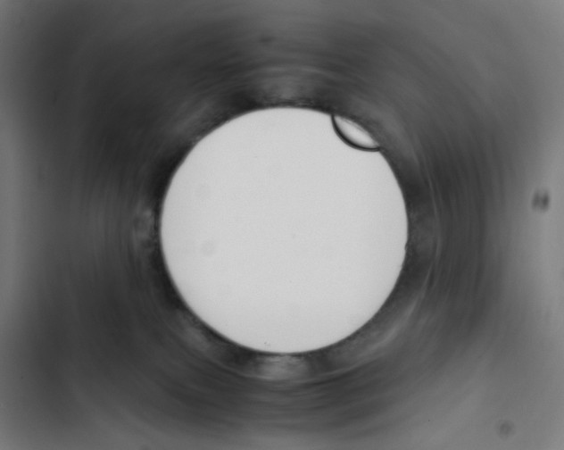 X0000102510087200809051421