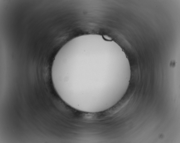 X0000102510088200809051421
