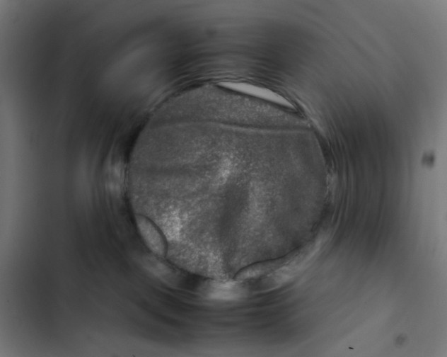 X0000102510093200809051421