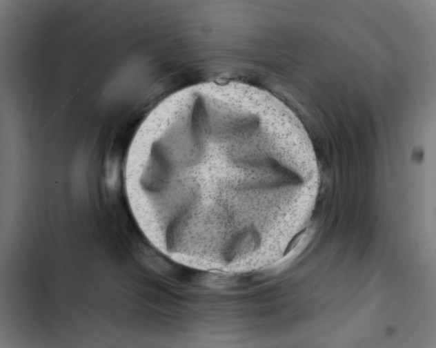X0000102510094200809051421