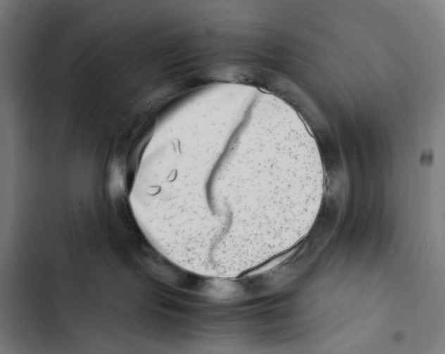 X0000102510095200809051421