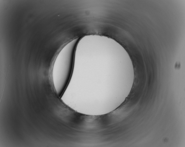 X0000102510096200809051421