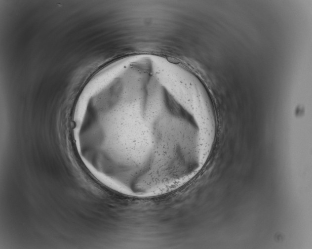 X0000102510097200809051420