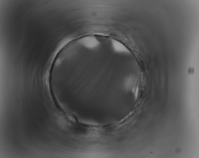 X0000102510099200809051420