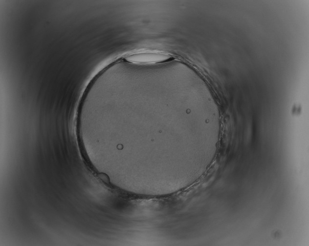 X0000102510100200809051420