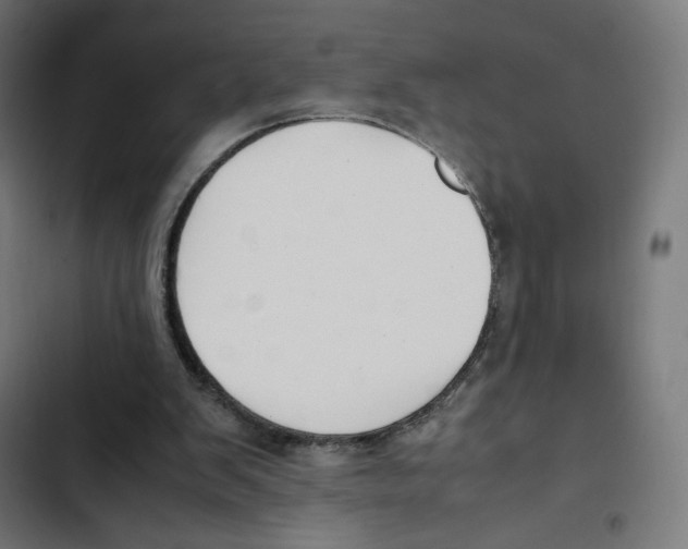 X0000102510103200809051420