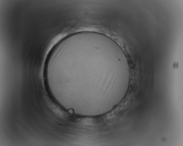 X0000102510104200809051420