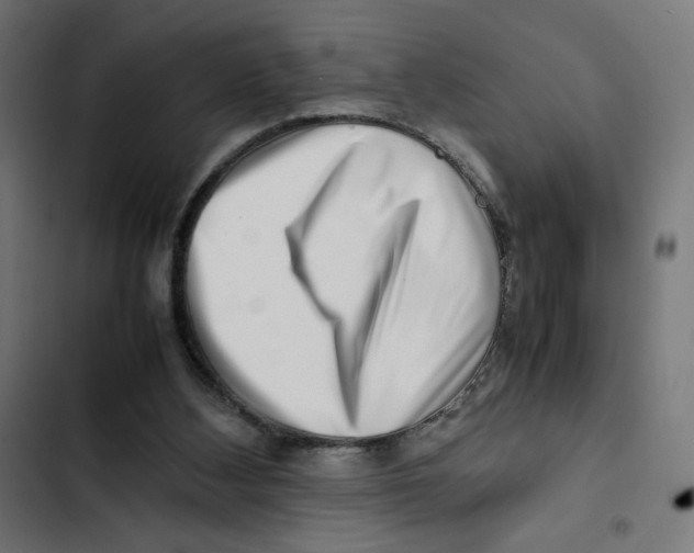 X0000102510108200809051420