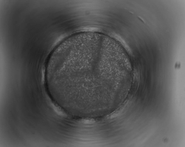 X0000102510110200809051420