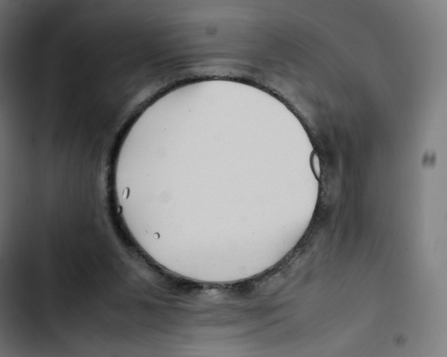 X0000102510111200809051420
