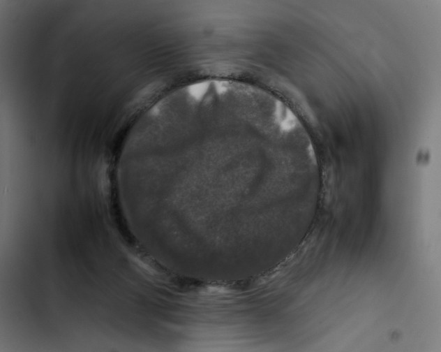 X0000102510114200809051420