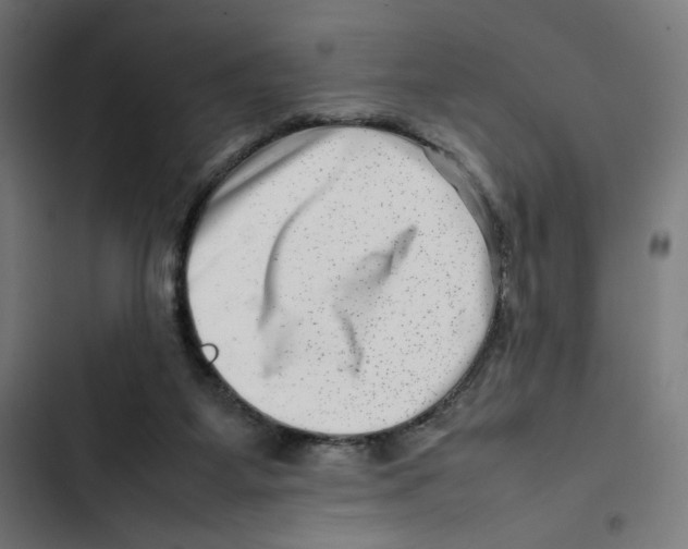 X0000102510115200809051420