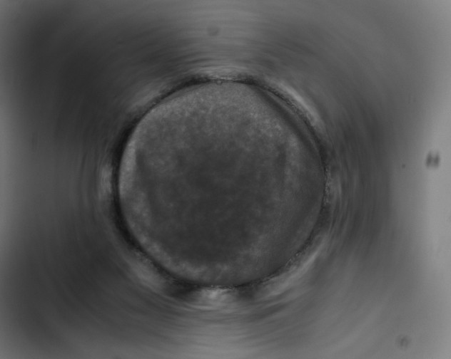 X0000102510117200809051420