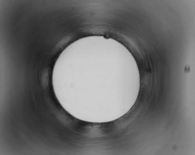 X0000102510120200809051420