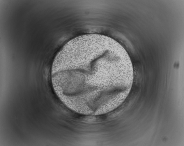 X0000102510123200809051420