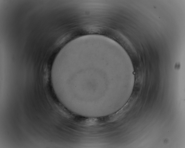 X0000102510124200809051420
