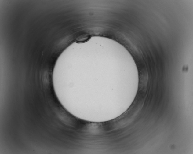X0000102510126200809051420