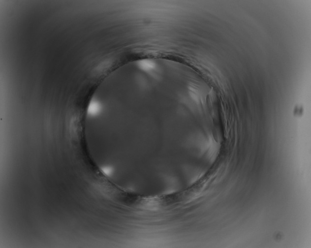 X0000102510127200809051420