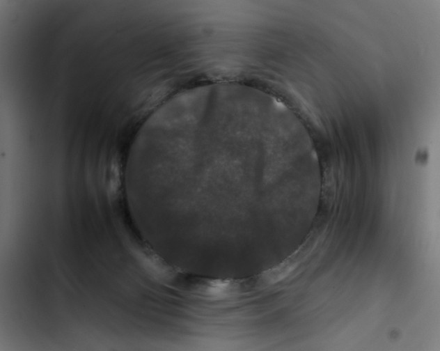 X0000102510130200809051420