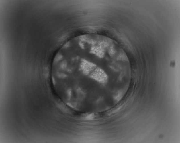 X0000102510131200809051420